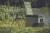 lodówka-turystyczna-samochodowa-motozebra-partner-yolco-KX40-GREEN-28.webp
