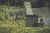 lodówka-turystyczna-samochodowa-motozebra-partner-yolco-KX40-GREEN-28.webp
