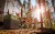 lodowka-kompresorowa-samochodowa-yolco-motozebra-BCX40GREEN- (31).webp