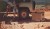 banner-1.webp